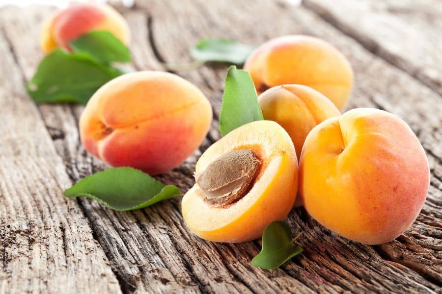 Apricots High Lysine Fruit